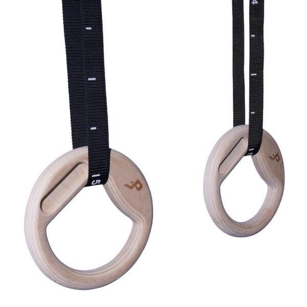 gym rings