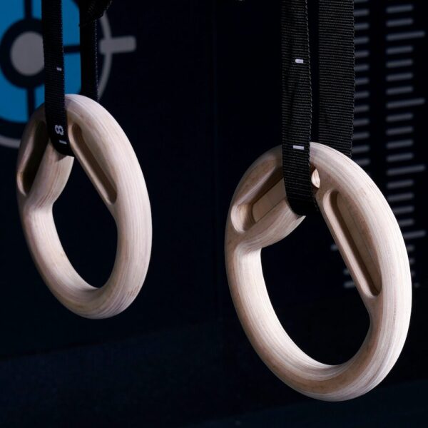 gym rings hanging